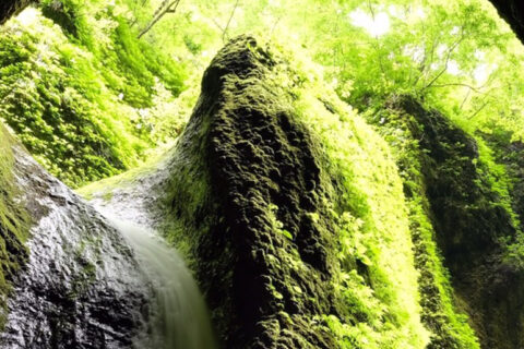 パーマリンク先: シワガラの滝